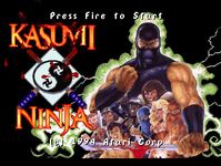 Video Game: Kasumi Ninja
