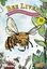 Board Game: Bee Lives: We Will Only Know Summer