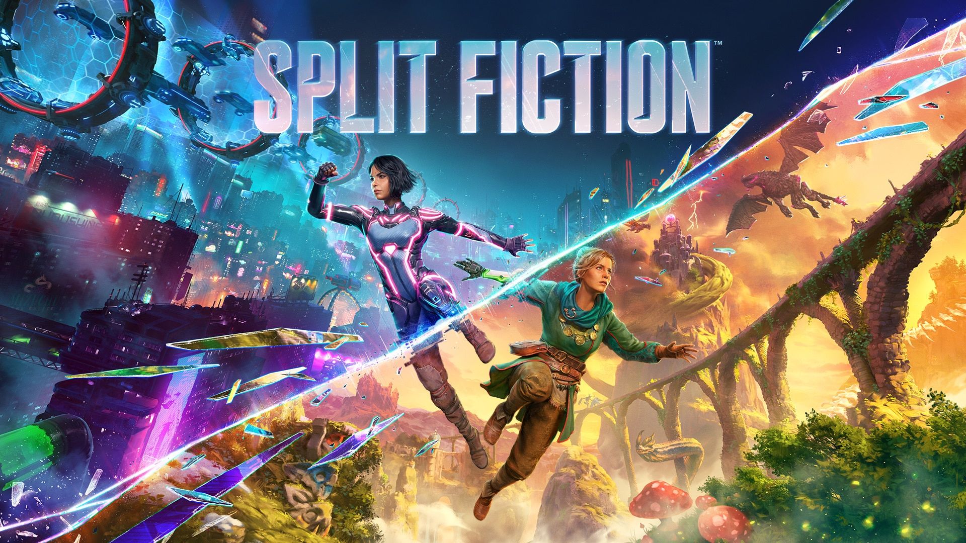 Split Fiction box art