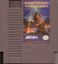 Video Game: IronSword: Wizards & Warriors II
