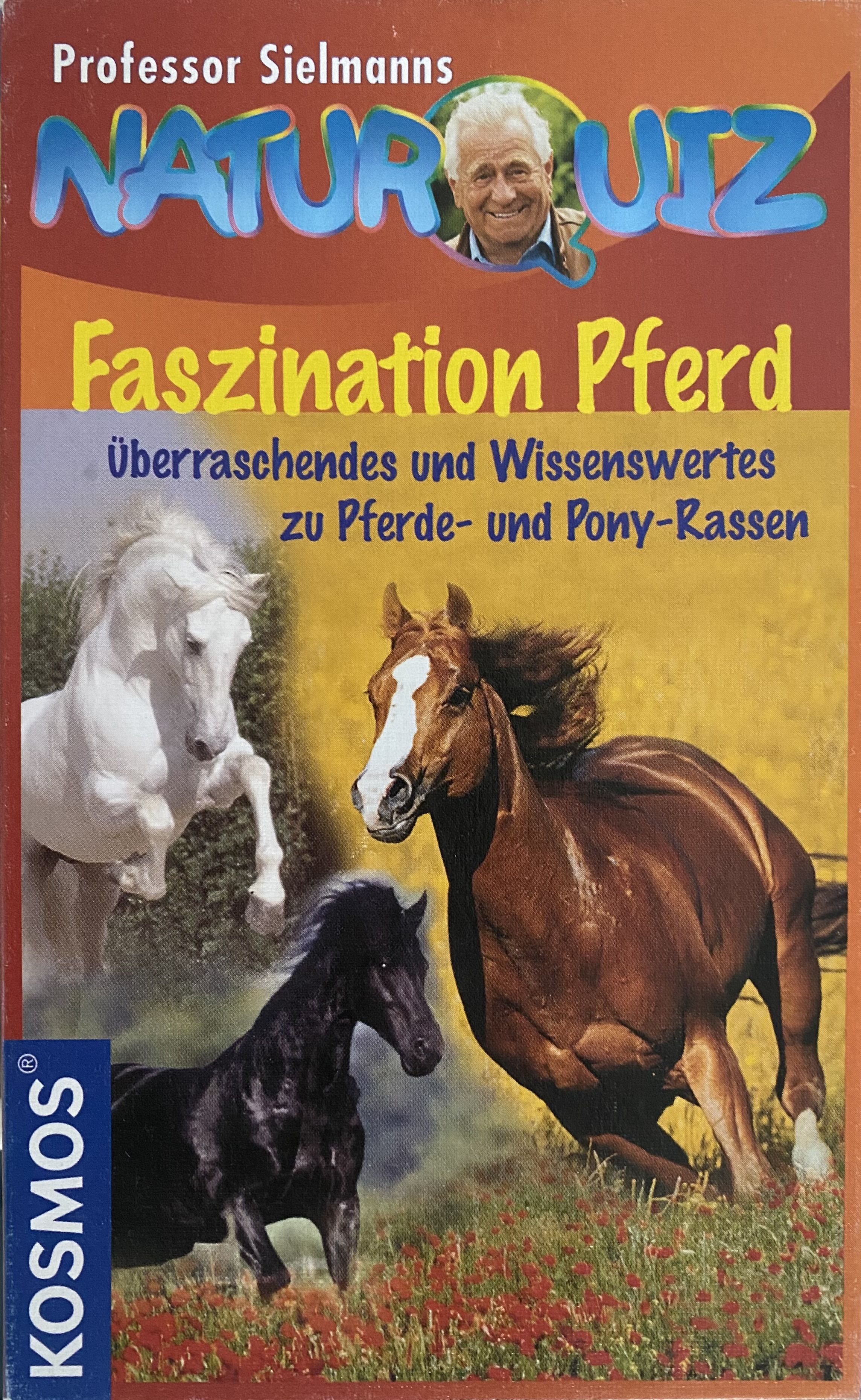 Faszination Pferd
