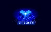 Video Game: Frozen Synapse