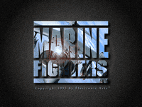Video Game: Marine Fighters