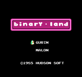 Video Game: Binary Land