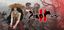 Video Game: Zeno Clash II