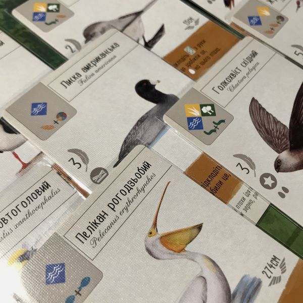 Wingspan Image Boardgamegeek Find the best deal for the board game wingspan. boardgamegeek