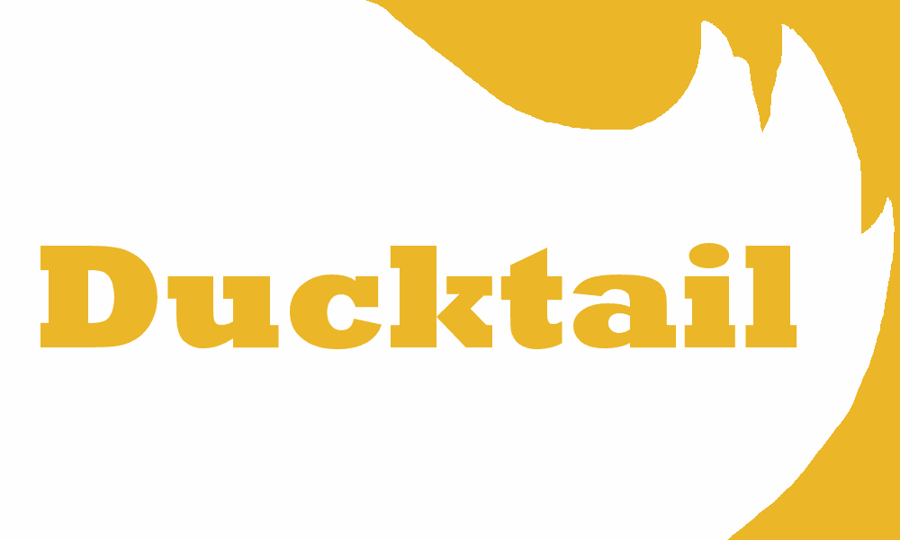 Ducktail cover art