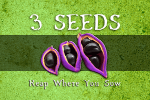 3 Seeds: Reap Where You Sow