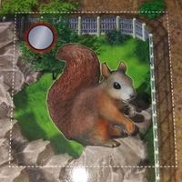 Zooloretto: Squirrel