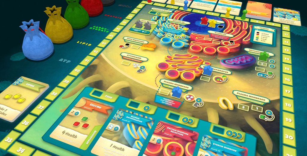 Illustration 12 de Cytosis: A Cell Biology Board Game