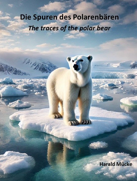 Cover art for Traces of the polar bear