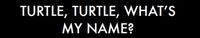 RPG: Turtle, Turtle, What's My Name?