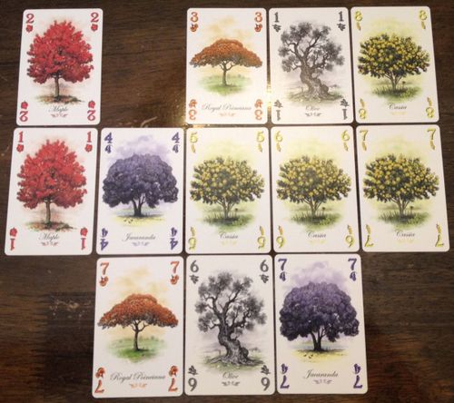 Designer Diary and Game Overview: Arboretum, or Losing (and Finding) Yourself Amongst the Trees