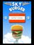 Video Game: Sky Burger