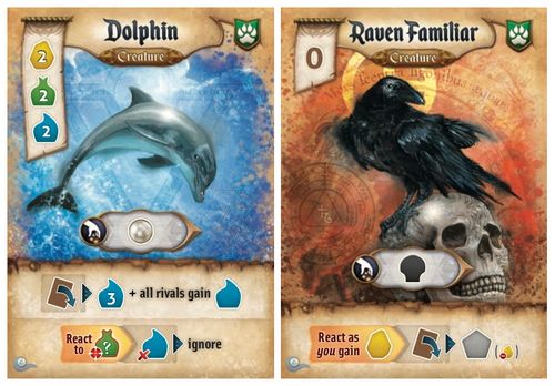 dolphin vs raven