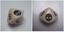 RPG Item: 7th Sea Bone Dice