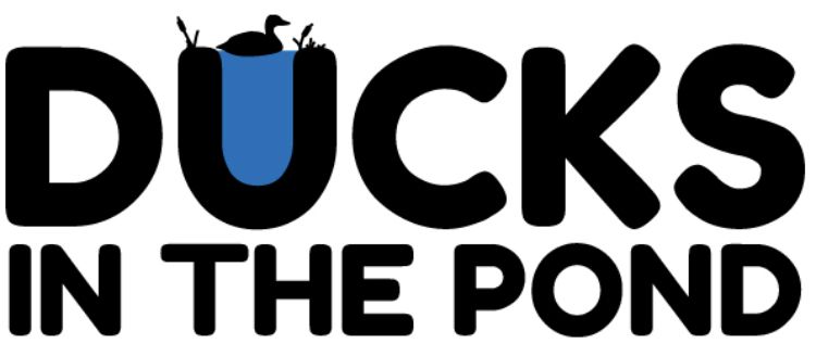Ducks in the Pond cover art