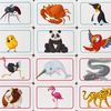 Concept Kids: Animals (A Play Favorites How To Play Review) 