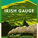 Board Game: Irish Gauge