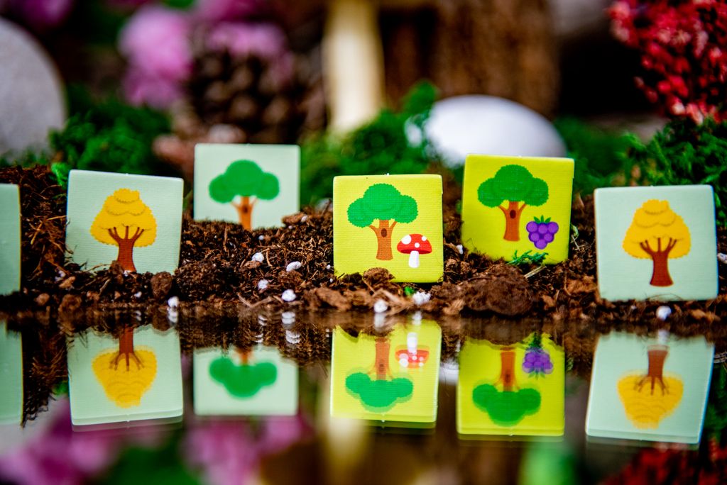 Forest First @BoardGameColors