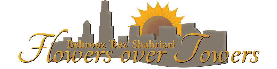 Flowers Over Towers box art