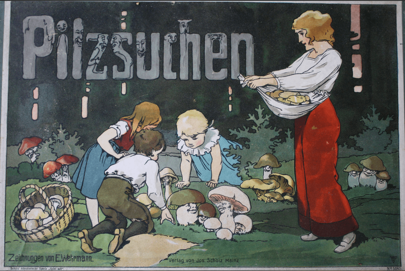 Pilzsuchen