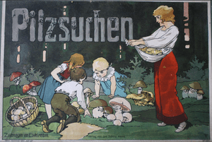 Pilzsuchen