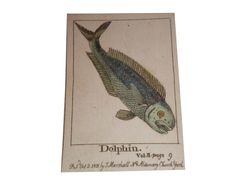 The Infant's Cabinet of Fishes