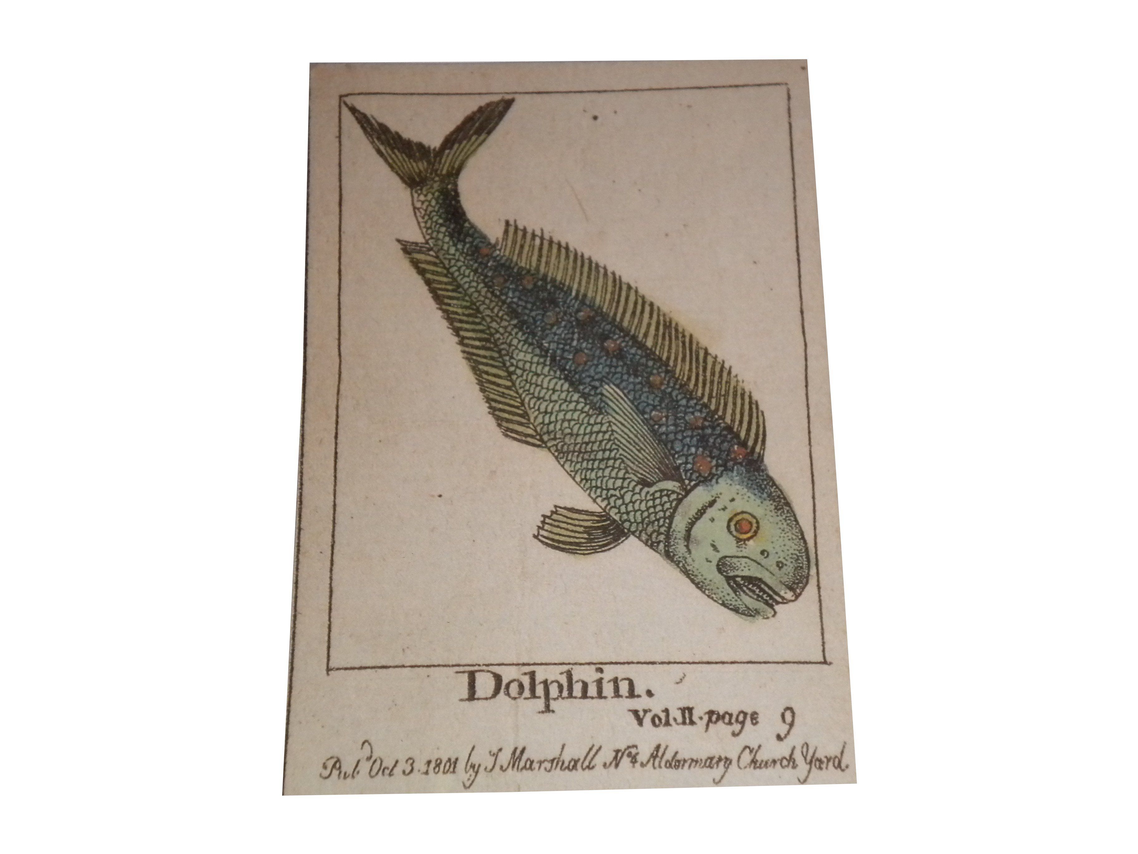 The Infant's Cabinet of Fishes