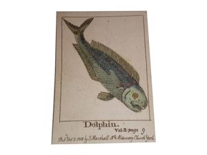 The Infant's Cabinet of Fishes