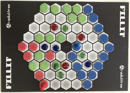 Game Overview: FILLIT, or Tiling with Tokens