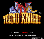 Video Game: Tecmo Knight