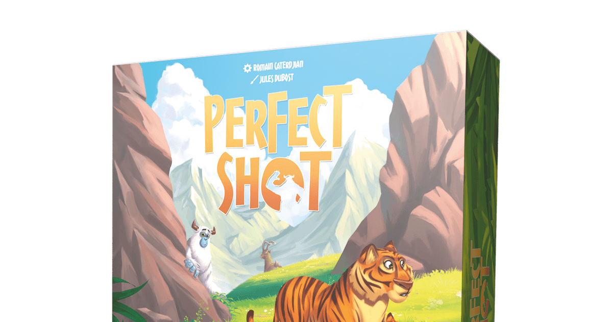 Perfect Shot Board Game BoardGameGeek