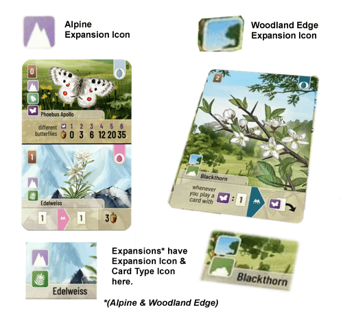 Is This How To Identify Expansion Cards? | Forest Shuffle
