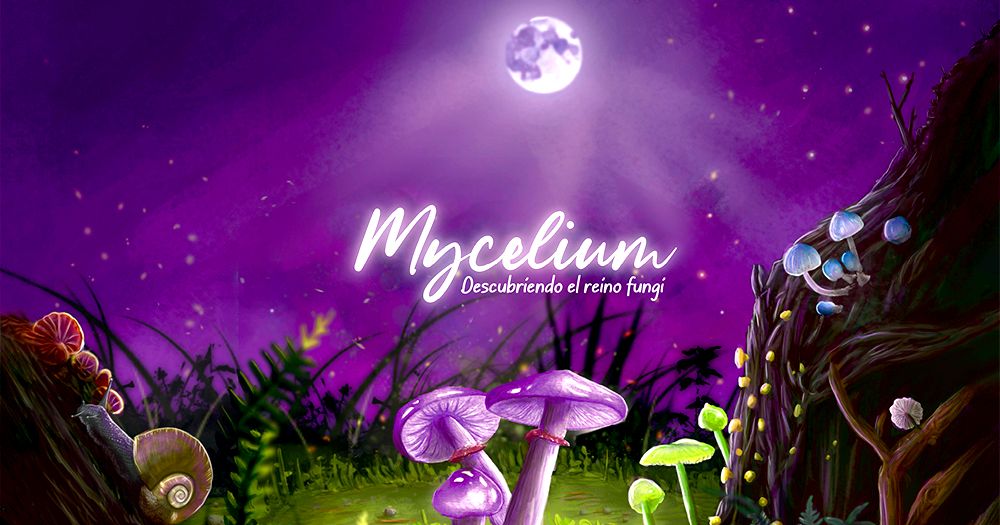 Mycelium Discovering the Fungi Kingdom Board Game BoardGameGeek