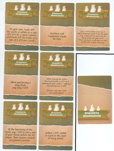 Cytosis: Epigenetic Modification  Cards Promo