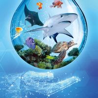 Ark Nova: Mundo Marino