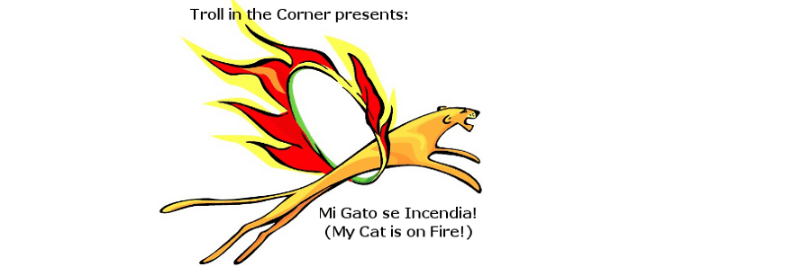 Mi Gato se Incendia!