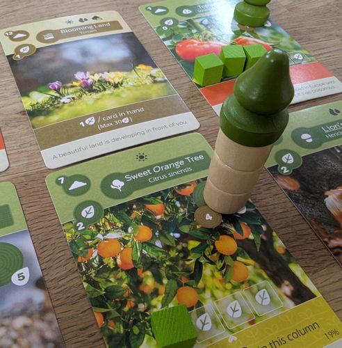 Earth Review | Silver Duck Reviews | BoardGameGeek