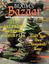 Issue: Bexim's Bazaar (Issue #22 - Oct 2020)