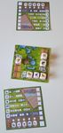 Zooloretto Würfelspiel: Baby Boom