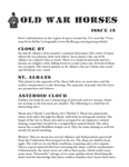 Issue: Old War Horses (Issue 15 - Apr 2009)