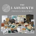 The Labyrinth Puzzle Challenge