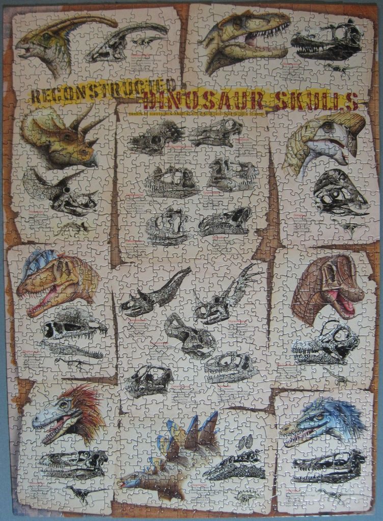 From gallery of Jude