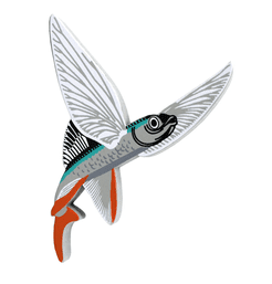 Finspan: Wooden Sailfin Flying Fish First Player Token
