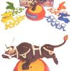 Yahoo Buckaroo! Board Game Review - Geeky Hobbies