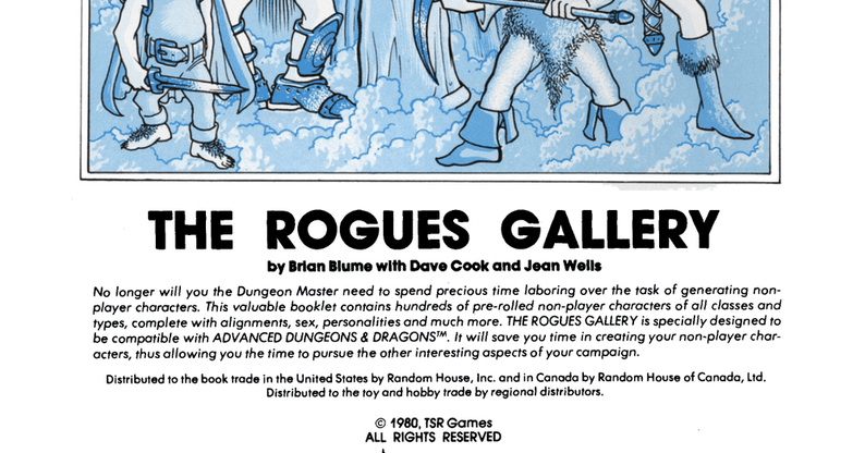 The Rogues Gallery (1e) - Wizards of the Coast, Accessories