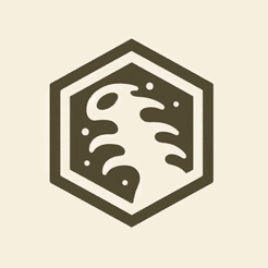 Cuiquindi