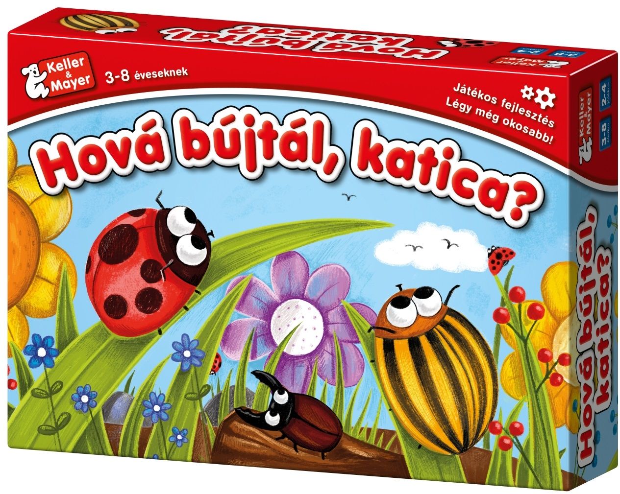 Hová bújtál, katica?
