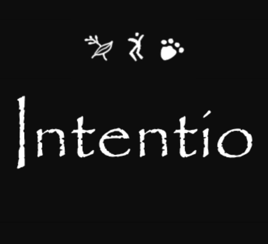 Cover art for Intentio